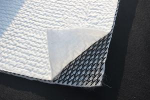 建設排水用HDPE 3D三次元複合排水ネットジオテキスタイルジオマット - Product Image 5