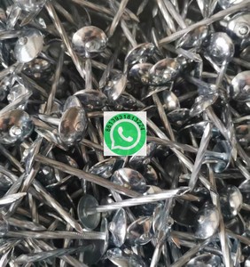 ตะปูเหล็กขัดเงาสำหรับตลาดบราซิล ขนาด 17x21 มม. บรรจุถุง 1 กก. - Product Image 4