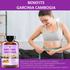 Hot Selling Garcinia Cambogia Capsules Adult Dietary <b>Supplement</b> for Weight Loss Immunity Boost and Energy Enhancement - Product Image 5