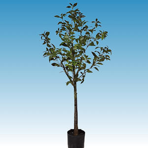 Vente transfrontalière chaude Ornements d'<span class=keywords><strong>arbre</strong></span> de simulation en plastique vert Cheval-Bois ivre Banane Bonsaï Vie d'intérieur Plantes artificielles - Product Image 6