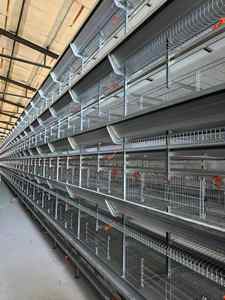 อุปกรณ์ฟาร์มสัตว์ปีก 4 6 7 8 12 ชั้น แบบกรงเลี้ยง<span class=keywords><strong>ไก่</strong></span>ไข่แบบแบตเตอรี่ <span class=keywords><strong>ราคา</strong></span>ประหยัดสำหรับฟาร์ม - Product Image 5