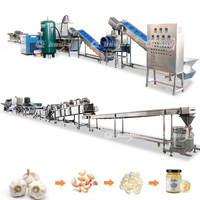 400KG par heure Petite ligne de production commerciale entièrement automatique à prix d'usine pour le traitement de l'ail Ligne de production de pâte à l'ail