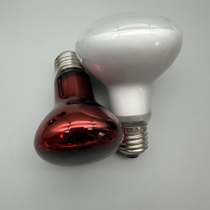 Lampe chauffante infrarouge classique ronde en verre pour <span class=keywords><strong>reptiles</strong></span>, 25W 50W 75W 100W, lumière du jour, lumière lunaire, UVA, pour toutes les saisons - Product Image 2