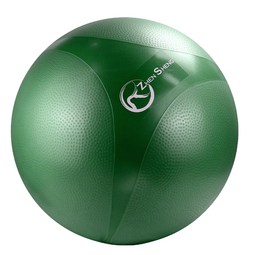 Zhensheng 2024 nuovo design di promozione del marchio home gym fitness yoga palla exrecise palla swiss ball con 9 "pompa