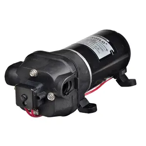 Singflo FL-30 12v dc 10L/min Mini High Flow Water Diaphragm pump/Knapsack sprayer pump