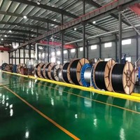 Hochwertiges 5-adriges Kupfer-Stromkabel Flexibles PVC-Gummi-Isoliertes Massivleiterkabel 1kV Nennspannung für Kraftwerke