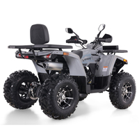 Quad Tao Motor 2026, nouveau modèle, vente en gros, automatique, pour usage agricole, Cuatrimotos, Quadricyclo, VTT adulte 250cc avec EPA CE