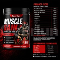 Comprimés de renforcement musculaire pour chiens, fabrication OEM, performance accrue, soutien nutritionnel pour chiens actifs, supplément à mâcher pour toutes les étapes de vie