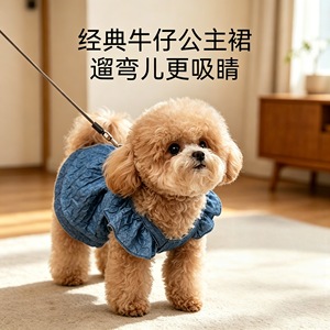 Robe en jean pour chats et chiens, jupe fine à manches courtes pour animaux de compagnie, design mignon, à porter en quatre saisons - Product Image 2