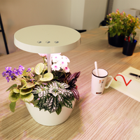 Système de jardin hydroponique intelligent pour la maison, éclairage LED pour la culture des plantes en intérieur, jardinière hydroponique moderne pour le bureau, la chambre à coucher, la cuisine