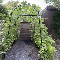 Gartenpflanzen-Metallclips für Tomaten, Bambuszaunpaneele, Hochbeet, Pergola, Schwarzes Rankgitter für Kletterpflanzen