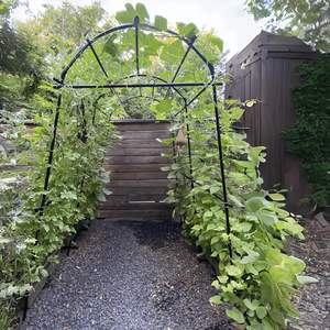 Clips à tomates en métal pour plantes de jardin, panneaux de clôture en <span class=keywords><strong>bambou</strong></span>, banc, bac surélevé, <span class=keywords><strong>pergola</strong></span>, treillis noir pour plantes grimpantes - Product Image 4