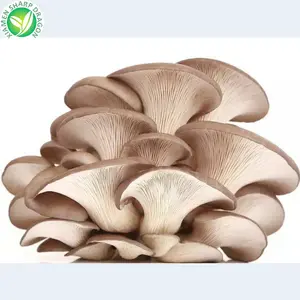 IQF Wholesale 1kg Price Raw Frozen Fresh White Grey Wild Pleurotus Ostreatus Oyster Pearl Brown Mushroom Phoenix Oyster Fungi