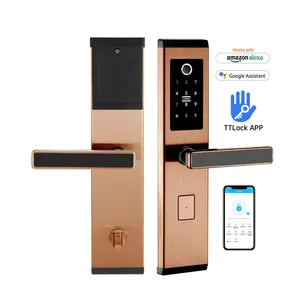 Smart Home Fingerprint Doorlock Electronic Intelligent Biometrics Door Handle Password Key Card Smart Lock For Front Door