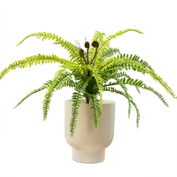 Feuilles artificielles 53 cm, mini fougère artificielle, bonsaï, plante artificielle, décoration de maison
