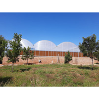 Serre en polycarbonate de type Venlo pour l'extérieur, grande taille, toutes saisons, plaque en polycarbonate de 8 mm, cadre super résistant pour la culture de légumes et de fleurs