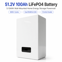 Аккумуляторная система Powerwall LiFePO4 51.2В 100Ач 5.12кВтч для настенного монтажа, система хранения солнечной энергии, 8000 циклов, литиевая, для домашнего резервного питания