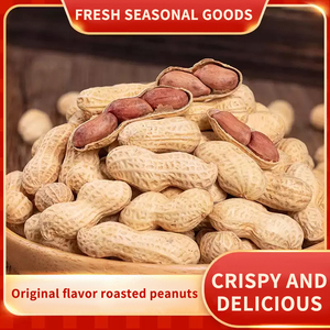 Crispy Spiced Peanut <b>Snack</b> Factory Wholesale, Custom Logo Vacuum Pack Welcome Factory Inspection For Bulk Buyers - Product Image 2