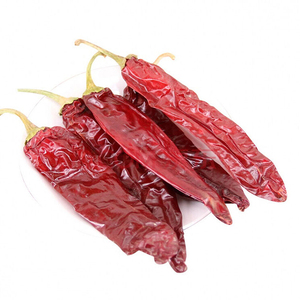 Vainas de pimentón por kg a bajo precio para el mercado español - Product Image 3