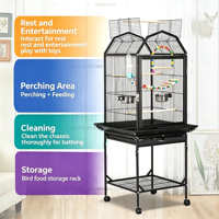 Système d'aviarium modulaire extensible en fer forgé de grande taille, personnalisé pour les éleveurs et les animaleries (vente en gros)