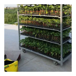 Galvanized Danish Farm Multi-layer Adjustable Shelf Greenhouses Equipment Plant Nursery Trolley
