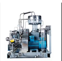 Installation de production d'hydrogène de qualité supérieure 1000 nm3/h Mini hydrogène gazeux pour l'industrie chimique Gaz air Hydrogène Compresseur à diaphragme