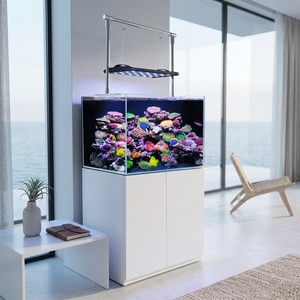 Kit complet d'aquarium de récif corallien sans cadre pour eau salée, aquarium marin pour la maison ou le bureau - Product Image 4