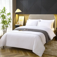 Ensemble de literie d'hôtel moderne personnalisé 300TC, 100% coton, résistant à l'eau, broderie, housse de couette et ensemble de draps