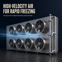 Évaporateur en acier inoxydable pour chambre froide IQF, refroidisseur d'unité, évaporateur personnalisé à l'ammoniac, chambre froide de plain-pied, refroidisseur d'air, capacité sur mesure