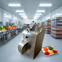 Commerciële automatische diepvriesvlees-snijmachine voor het snijden van vlees, fruit, groenten en aardappelen in blokjes