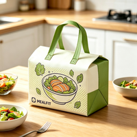 Sac isotherme réutilisable imperméable de grande capacité en non-tissé pour le camping en plein air, la plage, les pique-niques, la conservation des aliments au frais