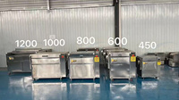 Automatische aardappel-, wortel- en gemberwasser en -schiller voor gember