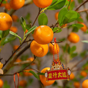 ต้นไม้ผลส้มเทียมประดับทับทิมสไตล์จีนในร่มใหม่เป็นมิตรต่อสิ่งแวดล้อมขอให้ปีใหม่ขอบคุณพระเจ้า - Product Image 5