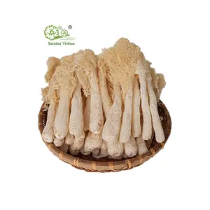 Vente en gros de haute qualité Dictyophora séché champignon de bambou sauvage Dictyophora