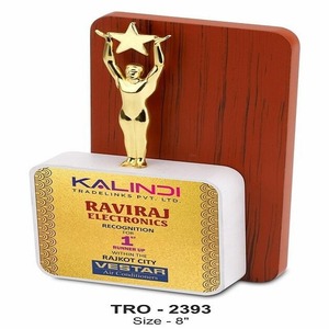 Trophée en métal gravé personnalisé de qualité supérieure pour célébrer le travail d'équipe ou l'innovation disponible pour un approvisionnement mondial - Product Image 4