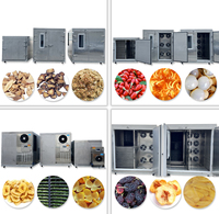 Ce Certificering Wortelplak Dehydrator Machine Voedsel Aardappel Droogmachine Peper Droger Machine