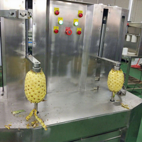 Eplucheuse automatique de peau de melon citrouille d'hiver à double tête Eplucheuse d'ananas Taro Pawpaw