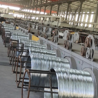 Machine de galvanisation électrolytique de fil Hebei Xingxiang / Ligne de galvanisation de fil 350V 40W
