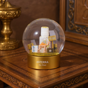 Bán buôn tùy chỉnh món quà sang trọng trang trí nội thất saudi arabia lưu niệm Lạc Đà Quả cầu tuyết nhựa nước quả bóng tuyết trang trí - Product Image 1