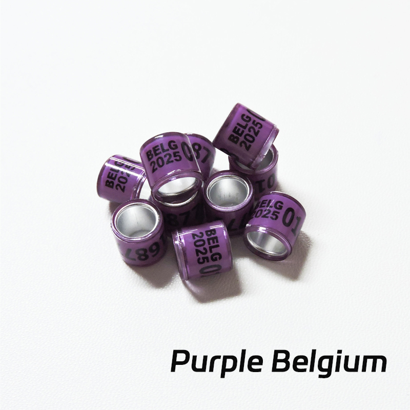 Belgique violette