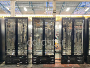 Frigorifero Commerciale a <span class=keywords><strong>Doppia</strong></span> <span class=keywords><strong>Porta</strong></span> per Bar, Vetrina Espositiva per Bevande, Design con Alette in Alluminio, Congelatore per Bar - Product Image 5