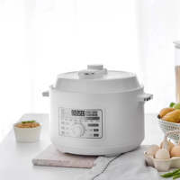 Cuisinière électrique multifonction automatique 3L ODM/OEM, cuiseur à riz électrique domestique avec pot en acier inoxydable