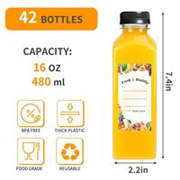 Bouteilles en plastique de 480 ml pour boissons, jus, smoothies, thé, lait et autres boissons – Stock local US – 16 oz