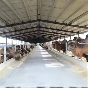 Precio DE FÁBRICA DE China, casas prefabricadas, edificio industrial de acero con potencial de certificación Ce - Product Image 3