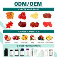 Complément alimentaire quotidien à base de baies mélangées, 60 gommes, 30 jours d'approvisionnement, 5 g de fibres par portion, Fiber Focus Gummies