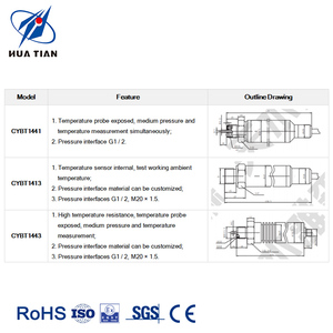 Huatian CYB4504 Wireless <strong>Temperature</strong> <strong>Sensor</strong> Pt100 Wifi Waterproof Zigbee Lora For Liquid And Gas Pressure Measurement - Product Image 4