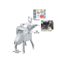 Groente-En Fruitsnijmachine Aardappelworteltomaat Mango Sinaasappel Dobbelsteen Kokosnootblokjes Snijmachine