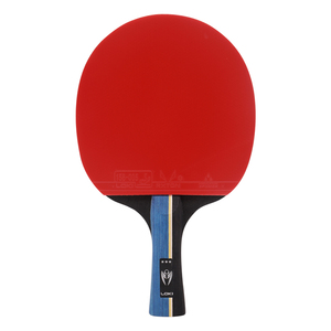 Vợt Bóng Bàn <span class=keywords><strong>LOKI</strong></span> Ping Pong <span class=keywords><strong>K3</strong></span> Star, Kèm Hộp Đựng Vợt, Màu 2022 - Product Image 6