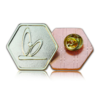 Écussons personnalisés en alliage de zinc émaillé pour entreprises et écoles, avec impression typographique, couleurs, formes et logos sur mesure