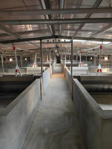 Prefab Farm Building Low Cost Steel Structure Buildings Cow Dairy Cattle House Shed Farm - Product Image 4